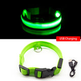 Green USB Charging Cinto de Perro by malltor sold by malltor