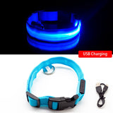 Blue USB Charging Cinto de Perro by malltor sold by malltor